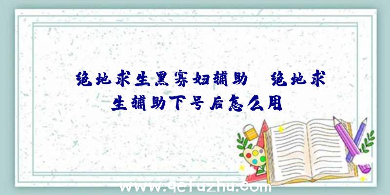 「绝地求生黑寡妇辅助」|绝地求生辅助下号后怎么用